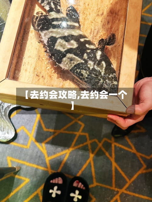 【去约会攻略,去约会一个】-第3张图片