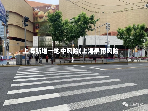 上海新增一地中风险(上海暴雨风险)-第2张图片