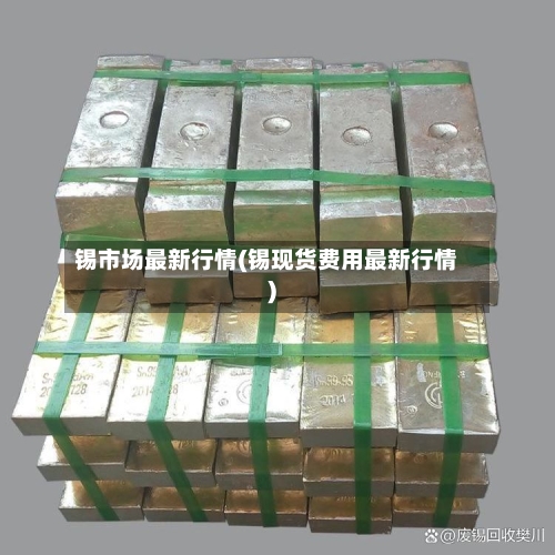 锡市场最新行情(锡现货费用最新行情)
