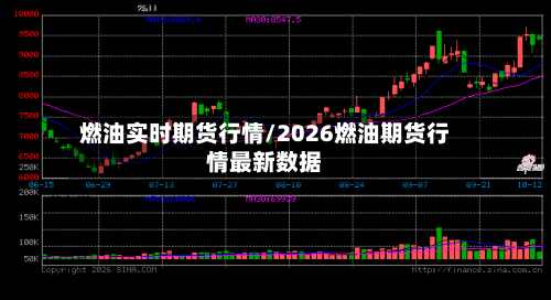 燃油实时期货行情/2026燃油期货行情最新数据