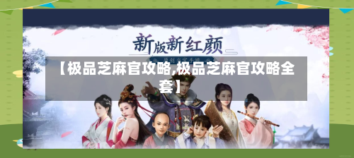 【极品芝麻官攻略,极品芝麻官攻略全套】