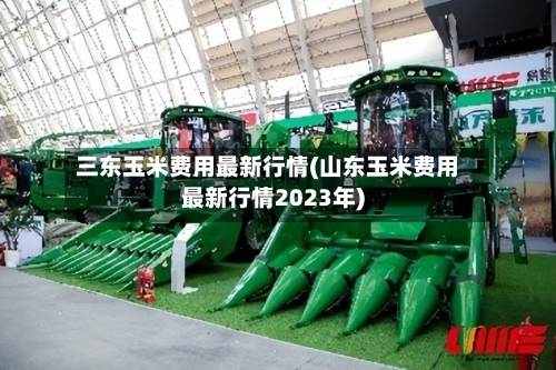 三东玉米费用最新行情(山东玉米费用最新行情2023年)