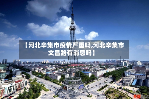 【河北辛集市疫情严重吗,河北辛集市文昌路有消息吗】-第2张图片