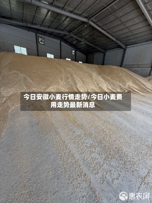 今日安徽小麦行情走势/今日小麦费用走势最新消息