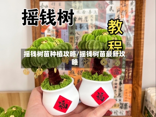 摇钱树苗种植攻略/摇钱树苗最新攻略