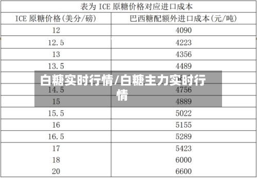 白糖实时行情/白糖主力实时行情