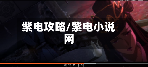 紫电攻略/紫电小说网
