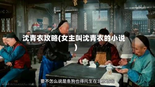 沈青衣攻略(女主叫沈青衣的小说)-第2张图片