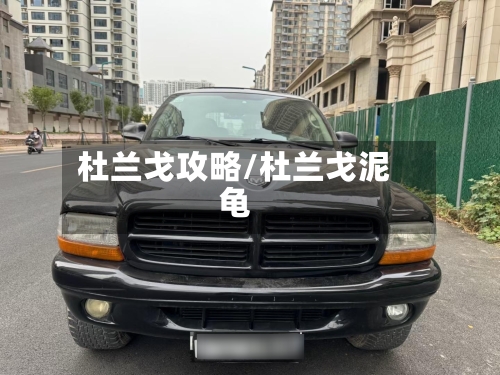 杜兰戈攻略/杜兰戈泥龟-第2张图片