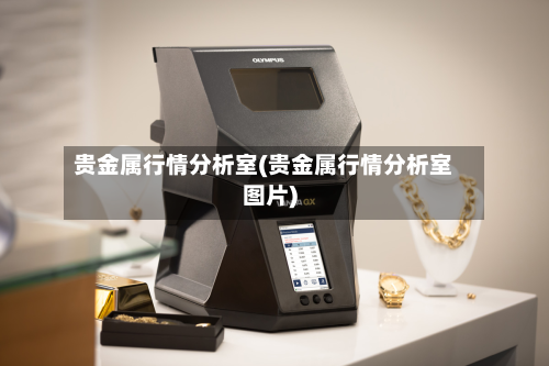 贵金属行情分析室(贵金属行情分析室图片)-第3张图片
