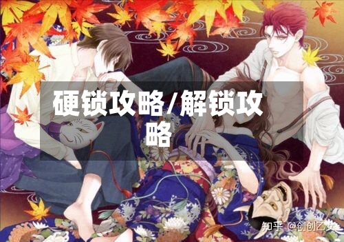 硬锁攻略/解锁攻略-第2张图片