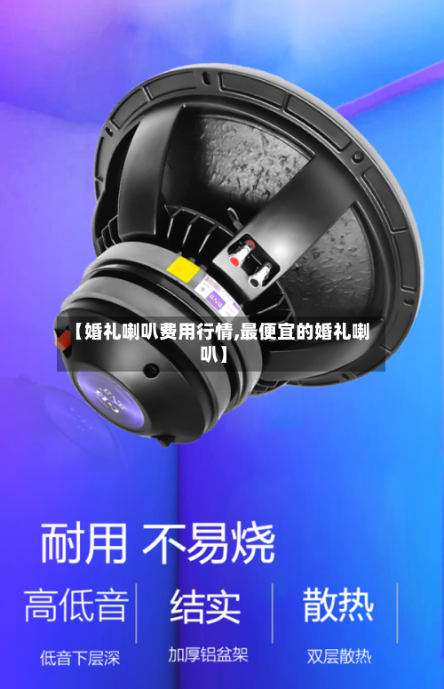 【婚礼喇叭费用行情,最便宜的婚礼喇叭】-第2张图片