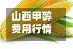 山西甲醇费用行情/甲醇山西今日费用行情