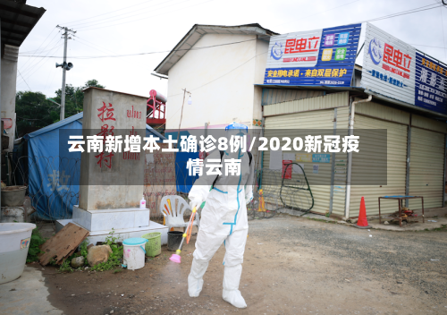 云南新增本土确诊8例/2020新冠疫情云南