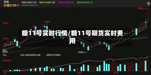糖11号实时行情/糖11号期货实时费用-第2张图片