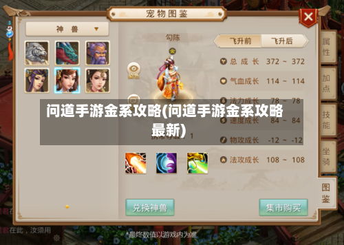 问道手游金系攻略(问道手游金系攻略最新)