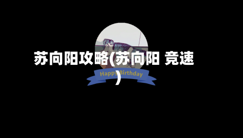 苏向阳攻略(苏向阳 竞速)-第2张图片