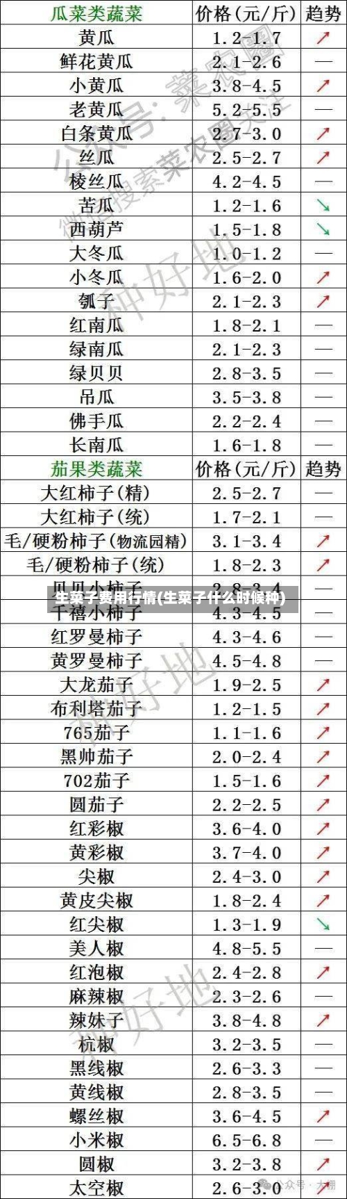 生菜子费用行情(生菜子什么时候种)