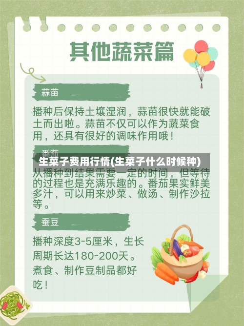 生菜子费用行情(生菜子什么时候种)-第2张图片