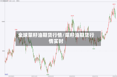 全球菜籽油期货行情/菜籽油期货行情实时