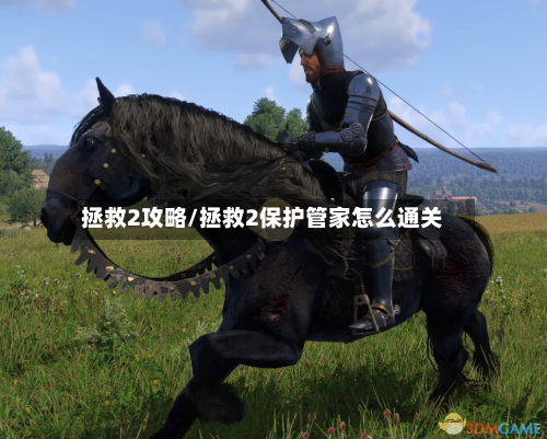 拯救2攻略/拯救2保护管家怎么通关