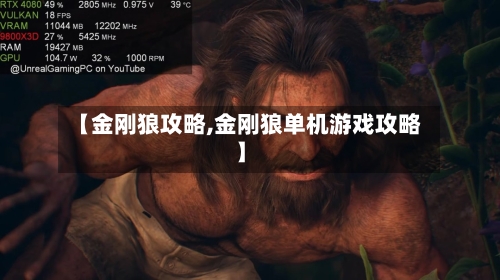 【金刚狼攻略,金刚狼单机游戏攻略】