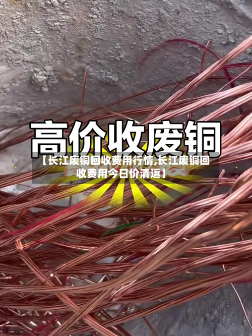 【长江废铜回收费用行情,长江废铜回收费用今日价清运】