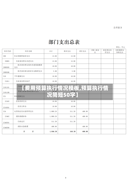 【费用预算执行情况模板,预算执行情况简短50字】