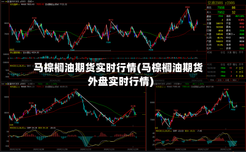 马棕榈油期货实时行情(马棕榈油期货外盘实时行情)