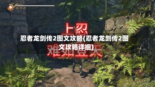 忍者龙剑传2图文攻略(忍者龙剑传2图文攻略详细)