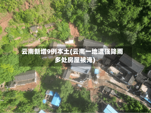 云南新增9例本土(云南一地遭强降雨 多处房屋被淹)-第2张图片