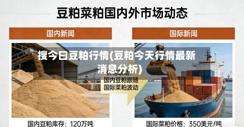 搜今曰豆粕行情(豆粕今天行情最新消息分析)