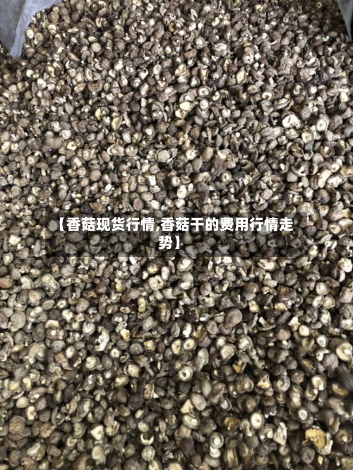 【香菇现货行情,香菇干的费用行情走势】-第3张图片