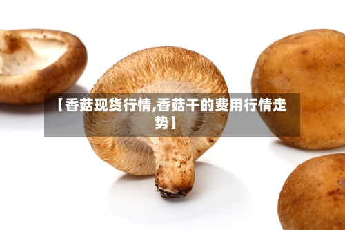 【香菇现货行情,香菇干的费用行情走势】