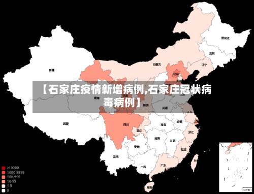 【石家庄疫情新增病例,石家庄冠状病毒病例】
