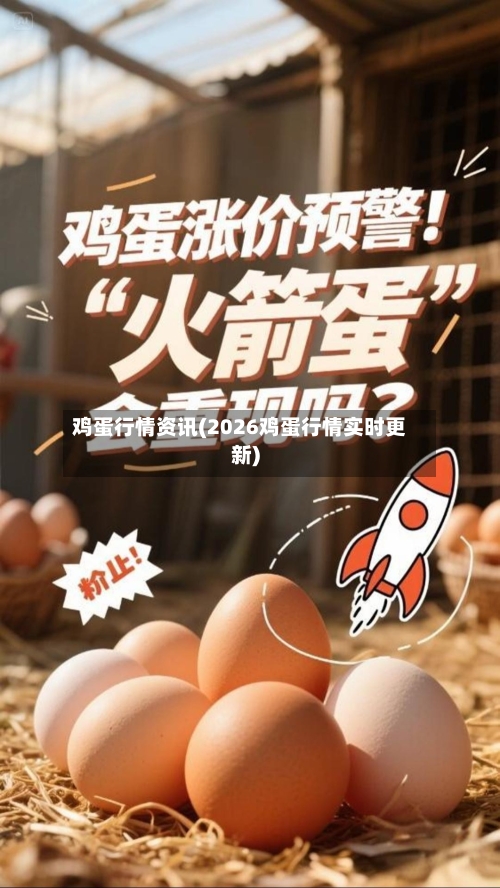 鸡蛋行情资讯(2026鸡蛋行情实时更新)