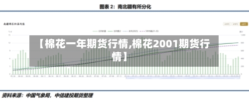 【棉花一年期货行情,棉花2001期货行情】-第3张图片