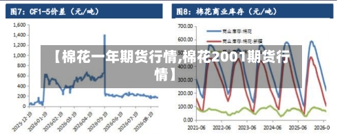 【棉花一年期货行情,棉花2001期货行情】-第2张图片