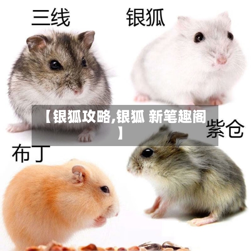 【银狐攻略,银狐 新笔趣阁】-第2张图片