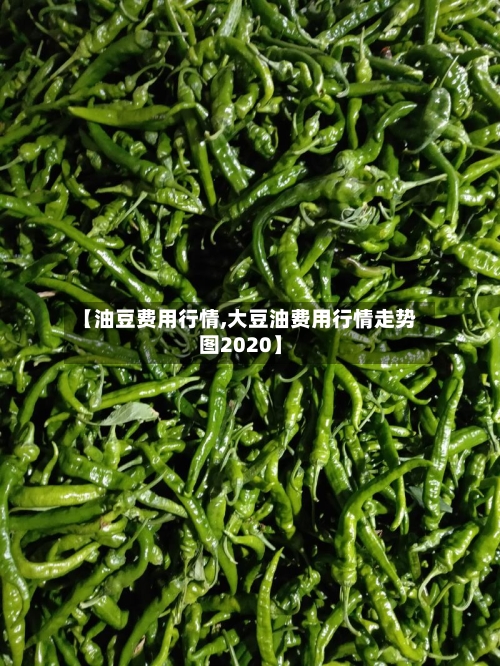 【油豆费用行情,大豆油费用行情走势图2020】