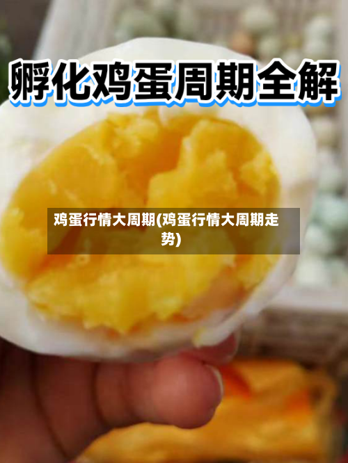 鸡蛋行情大周期(鸡蛋行情大周期走势)