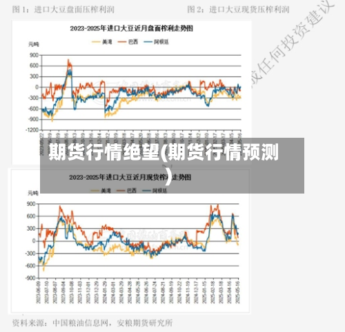 期货行情绝望(期货行情预测)