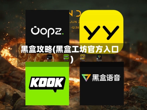 黑盒攻略(黑盒工坊官方入口)-第2张图片