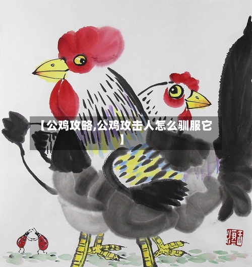 【公鸡攻略,公鸡攻击人怎么驯服它】-第2张图片