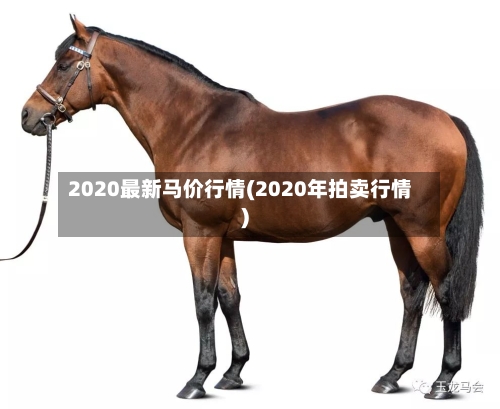 2020最新马价行情(2020年拍卖行情)