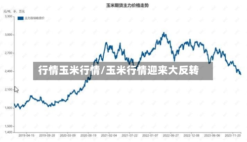行情玉米行情/玉米行情迎来大反转-第2张图片