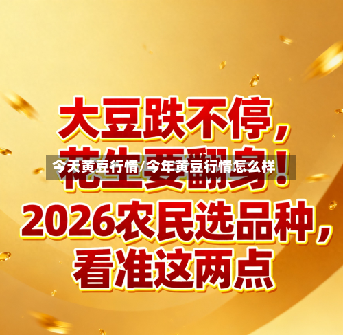 今天黄豆行情/今年黄豆行情怎么样