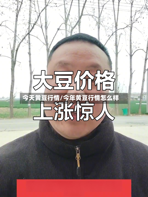 今天黄豆行情/今年黄豆行情怎么样-第3张图片