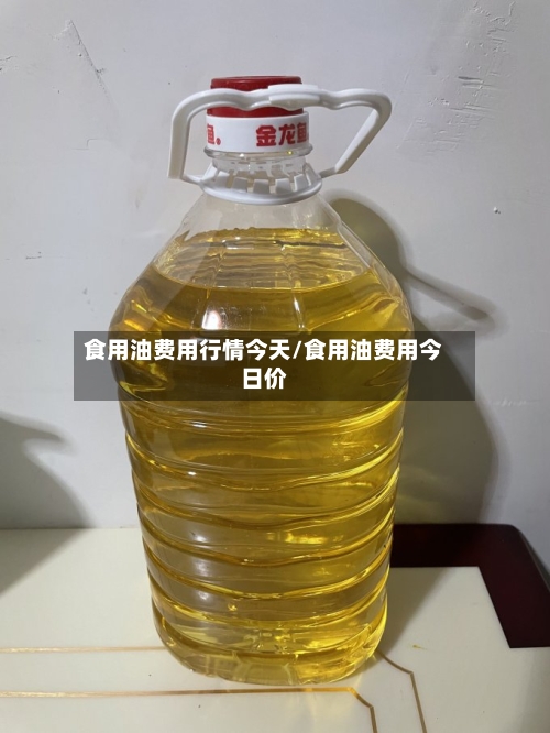 食用油费用行情今天/食用油费用今日价