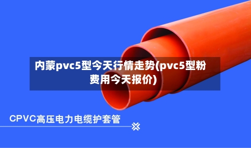内蒙pvc5型今天行情走势(pvc5型粉费用今天报价)-第2张图片